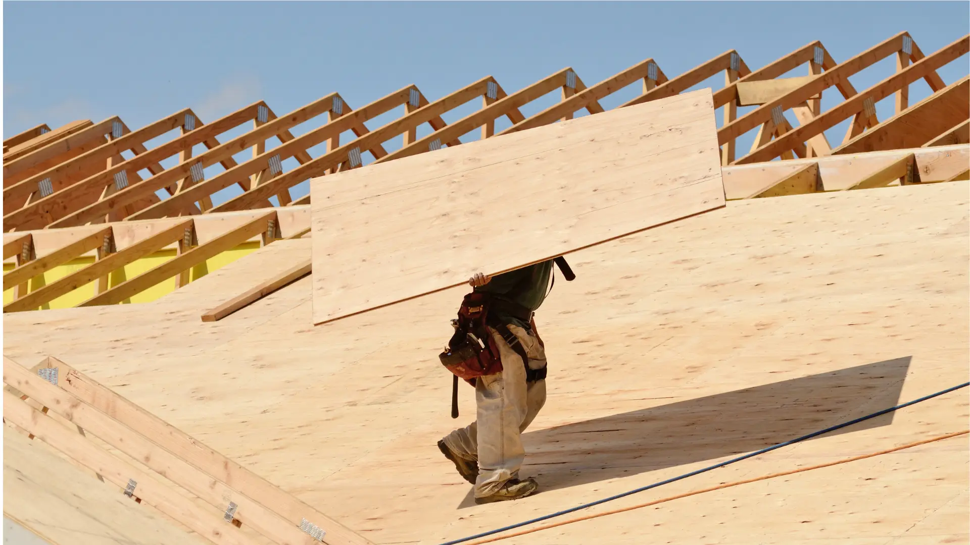 Roof Sheathing Replacement