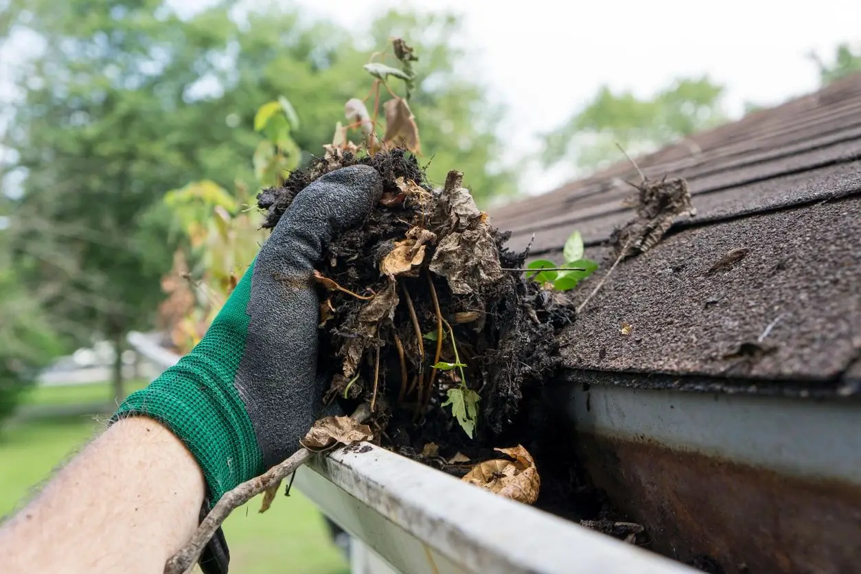 Clean your gutters regularly to help prepare them for fall and winter.
